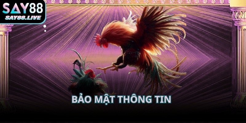 Bảo mật an toàn giúp người chơi yên tâm hơn khi trải nghiệm đá gà Say88