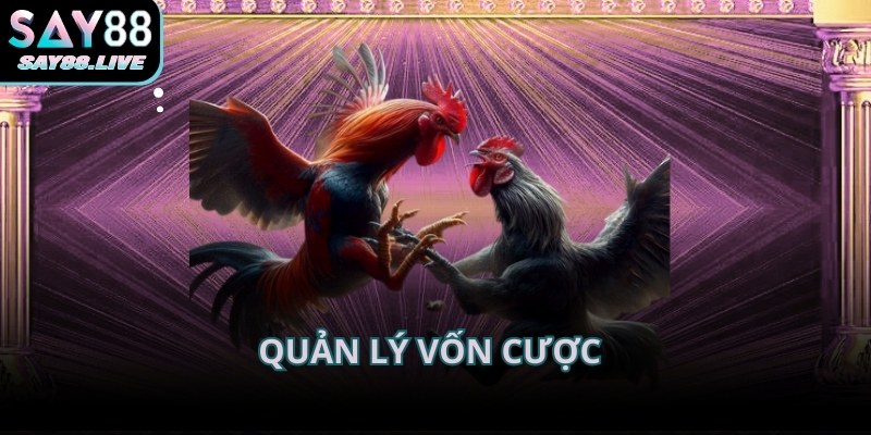 Quản lý vốn cược được yêu thích vì kiểm soát rủi ro đá gà Say88 tốt hơn