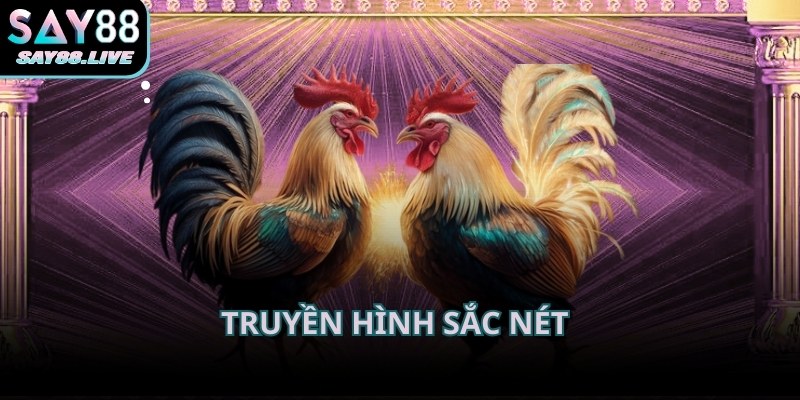 Chất lượng hình ảnh đá gà Say88 ổn định giúp hạn chế tình trạng giật lag