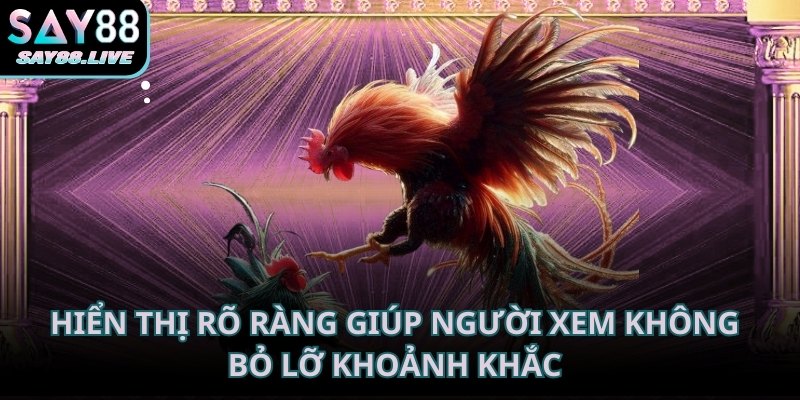 Các trận đấu tại sảnh được hiển thị rõ ràng giúp người xem không bỏ lỡ khoảnh khắc quan trọng