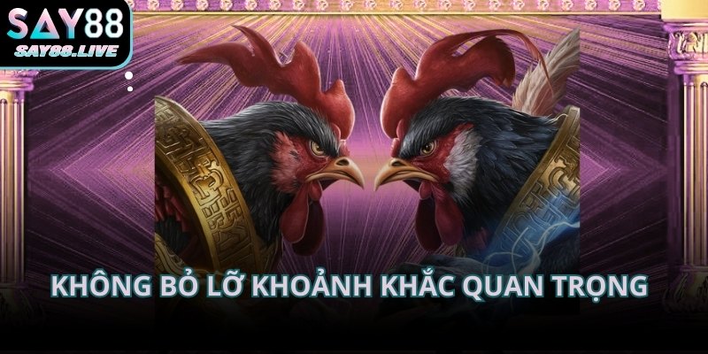 Hiển thị rõ ràng giúp người xem không bỏ lỡ khoảnh khắc quan trọng