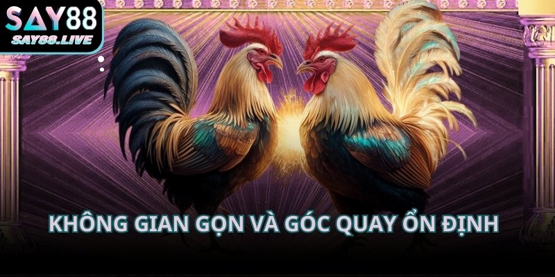 Không gian gọn và góc quay ổn định giúp người xem theo dõi sát từng pha đấu