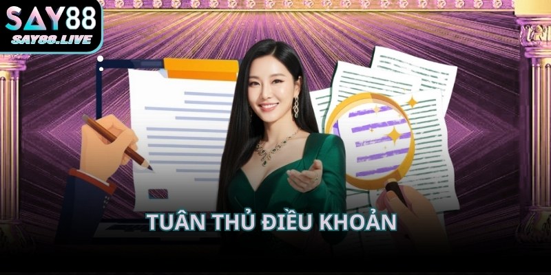 Tuân thủ điều khoản là yếu tố quan trọng để trải nghiệm diễn ra ổn định hơn