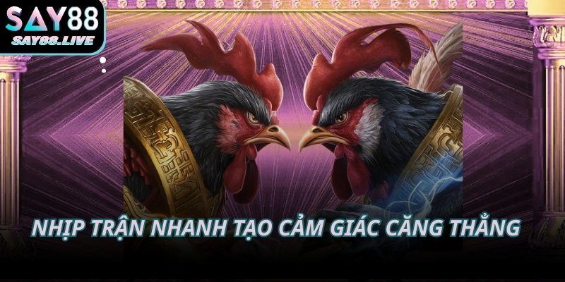 Nhịp trận nhanh tạo cảm giác căng thẳng vừa đủ cho người xem