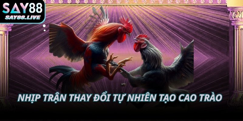 Nhịp trận thay đổi tự nhiên tạo cao trào rõ rệt