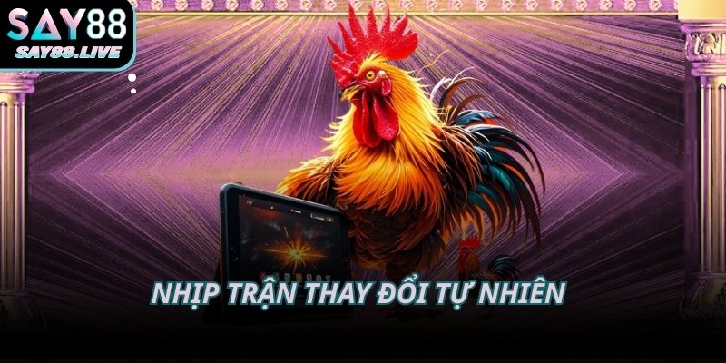 Nhịp trận thay đổi tự nhiên tạo cảm xúc theo từng giai đoạn