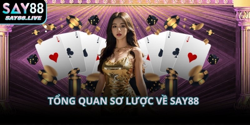 SAY88 thu hút lượng thành viên tham gia rất ổn định qua nhiều năm hoạt động