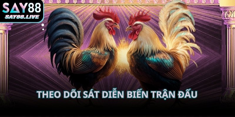 Góc quay ổn định giúp người xem theo dõi sát diễn biến trận đấu